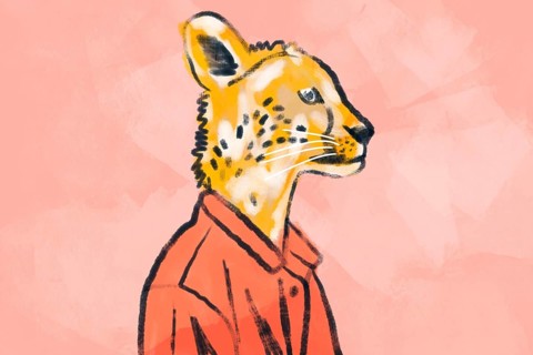 A whimsical illustration of a cheetah wearing a stylish red jacket, set against a soft pink