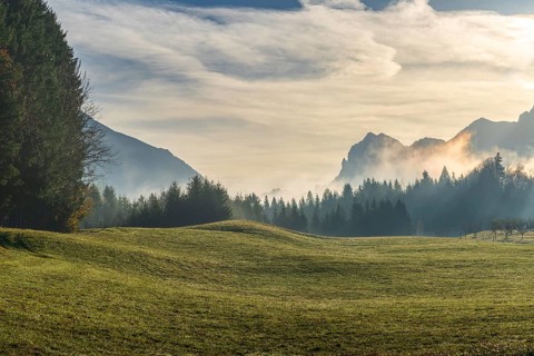 A serene view of rolling green meadows surrounded by dense forests and misty mountains in