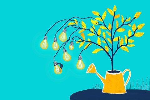 An imaginative illustration of a tree growing from a watering can, its branches bearing light bulbs