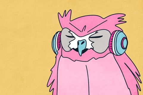 This vibrant illustration features a pink owl with closed eyes wearing headphones, set against a