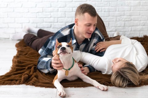 A young man and woman enjoy a cozy moment with their small white and tan dog on a brown blanket in