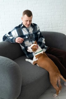 A young man in a plaid shirt sits comfortably on a grey sofa with a brown and white dog resting