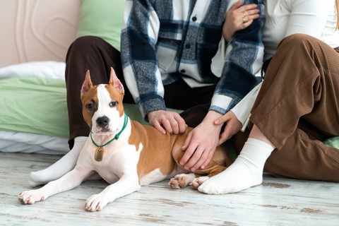 A gentle moment with cropped unrecognizable a man and woman sit together on the floor at home,