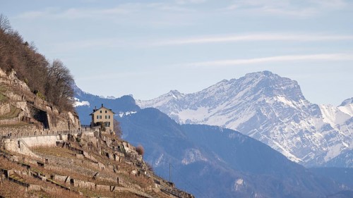 A scenic view of Lavaux Vineyards on a sunny winter day, showcasing terraced fields, a remote