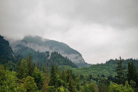 A serene view of a mist-shrouded mountain peak above a lush forest in Bachledka, Slovakia, near