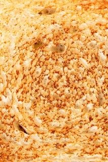 Detailed close-up of a toasted bread slice, showcasing a golden crispy crust with air pockets and