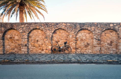 A bicycle leaning against an ancient stone wall under a palm tree, capturing the peaceful ambiance