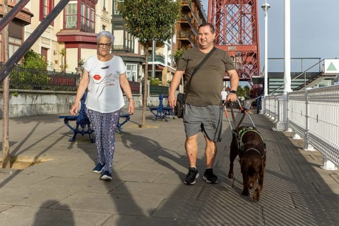 A blind man and senior woman walks their guide dog along a sunny urban street with a prominent