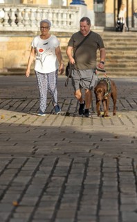 A blind man and senior woman walks together on a sunny day, accompanied by a guide dog. They stroll