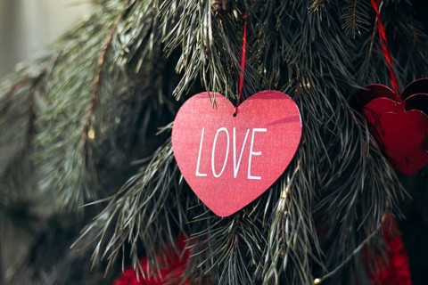 Red heart-shaped paper with LOVE written, hanging on an evergreen tree branch. Perfect for