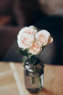 A delicate bouquet of blush roses arranged in a clear glass vase, creating a romantic and serene