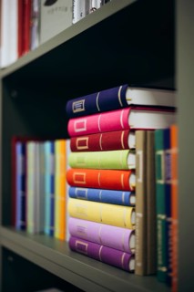 Vibrant and neatly arranged books occupy shelves in a contemporary library setting, showcasing an