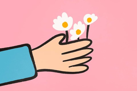 An illustration showing a human hand gently holding three white daisies against a plain pink