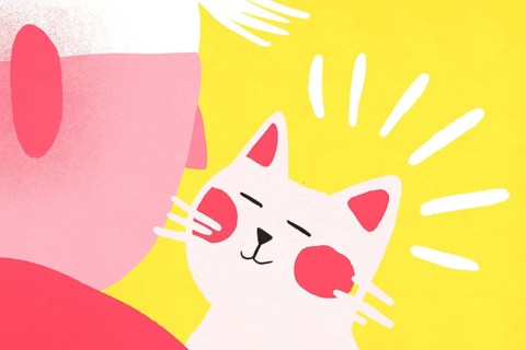 A whimsical illustration features a smiling white cat with pink cheeks under a bright yellow