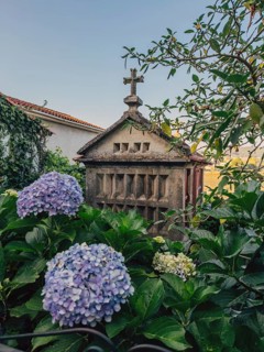 A stone structure Horreo topped with a cross stands amidst a lush garden. Vibrant hydrangea flowers