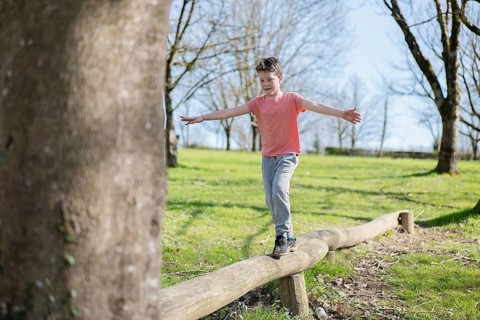 A young boy skillfully balances on a log in a sunlit park. Trees surround him, and there a vibrant