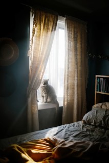 A serene bedroom scene with warm sunlight streaming through curtains, illuminating a cat sitting on