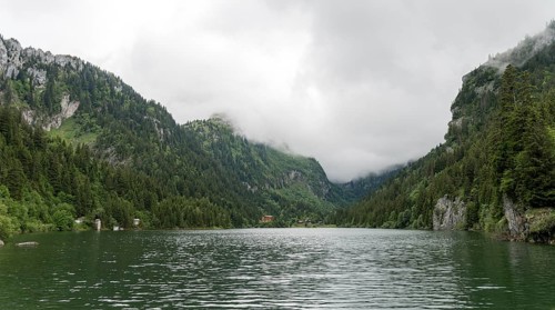 Serene view of Lac de Taney in Switzerland, enveloped by dense forests and high rocky mountains
