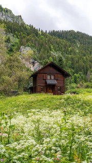Quaint wooden cabin nestled in a vibrant meadow near Lac de Taney, Switzerland, surrounded by lush