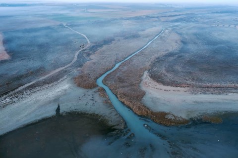 Aerial view of a lagoon in Toledo, Spain, with visible common cranes in their natural habitat. The