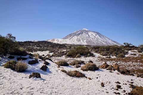 Teide covered mountain peak rises over a rugged landscape. Sparse vegetation and rocks dot the