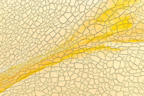 This image showcases a detailed view of cracked soil with a striking golden mud streak,