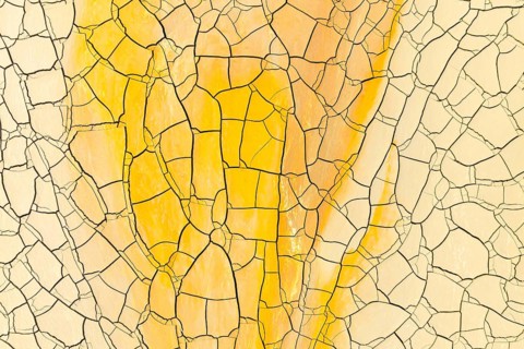 A vivid display of golden yellow and pale yellow mud cracks captured in stunning detail, presenting