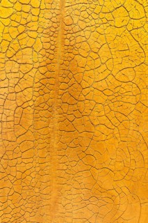 Close-up shot of textured golden mud, showcasing a detailed cracked pattern that creates a natural