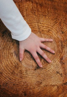 A young girl wearing a First Communion Day dress places her hand on a large tree stump,