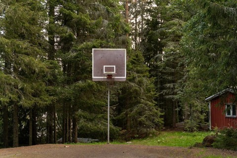 A solitary basketball hoop stands amidst dense, lush forest in Sweden. The serene setting offers a