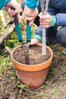 Cropped unrecognizable individuals engage in planting a small tree in a rustic terracotta pot