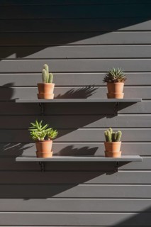 Photo of a minimalist wall display featuring terracotta pots with cactus and succulents on wooden