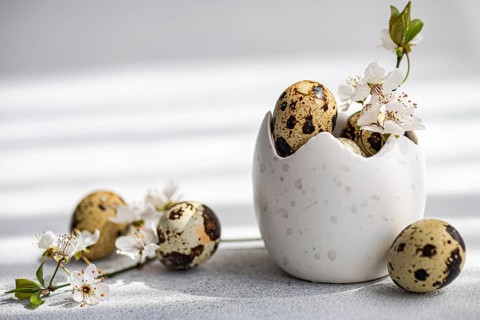 A serene Easter composition featuring quail eggs nestled in a textured white ceramic egg holder,