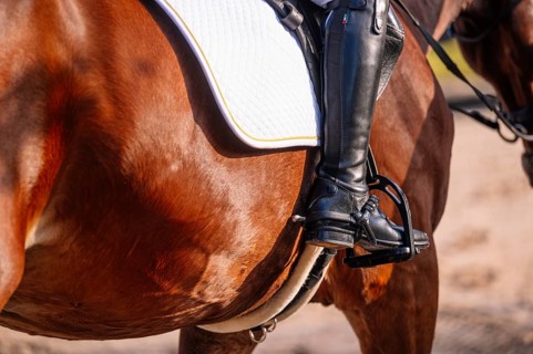 A close-up of an equestrian rider's boot and stirrup, highlighting the details of classical