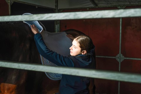 A teenage girl carefully places a saddle blanket on a horse in preparation for a classical dressage