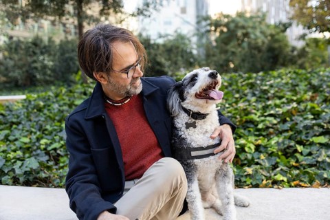 A middle-aged man interacts with his black and white dog in a city park, surrounded by lush