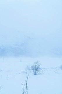 A serene, snow-covered landscape in Swedish Lapland. Frosty atmosphere and gentle mists create a