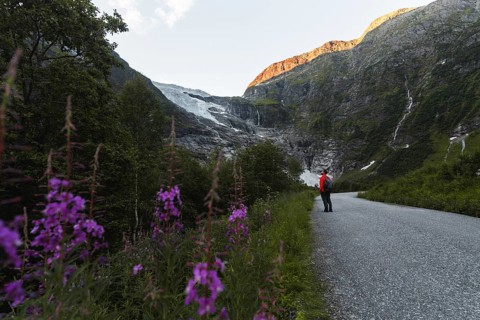 A traveler in a red jacket stands on a scenic mountain path in Norway, surrounded by vibrant
