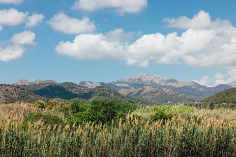 Scenic view of green valley with trees and mountains under blue sky with clouds