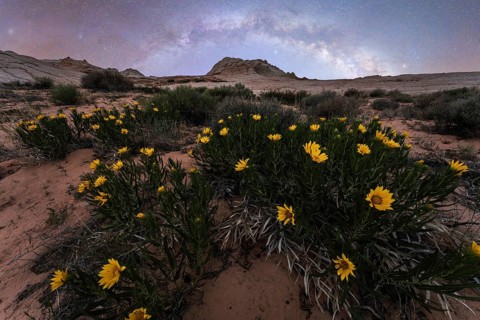A serene spring night at Coyote Buttes in the Paria Canyon-Vermilion Cliffs Wilderness, Arizona,