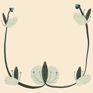 A serene and artistic illustration of stylized flowers with delicate lines in a tranquil pastel