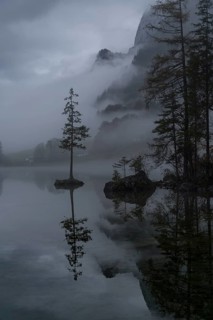 A moody and serene view of Hintersee Lake in the Bavarian Alps, shrouded in mist Lone trees on