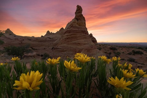 Striking sunset over the unique rock formations of Coyote Buttes in the Paria Canyon-Vermilion
