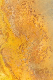 This image captures the detailed texture of golden mud, showcasing various tones and intricate