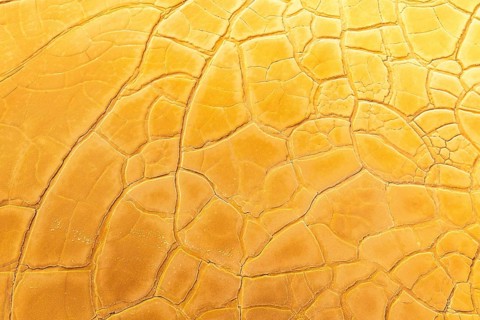 A close-up view of dry, cracked golden mud forming unique abstract patterns across a surface
