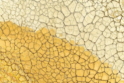 Close-up view of a dry, cracked surface shimmering with golden mud, creating a unique pattern of