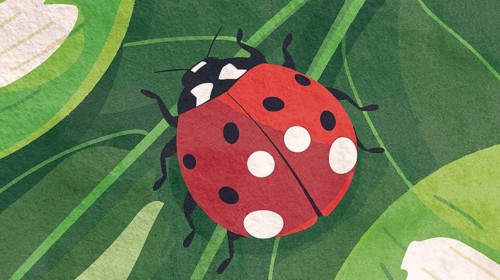 A bright red ladybug adorned with white spots rests on lush green leaves. The vibrant illustration
