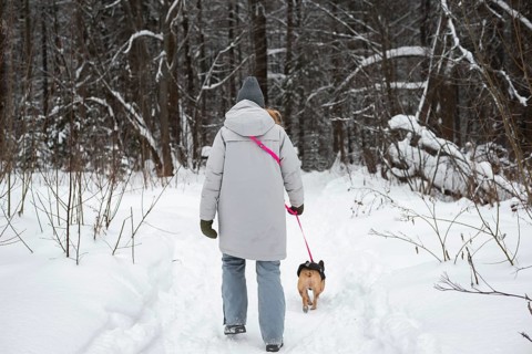 A person, bundled in winter attire, walks their dog on a snowy forest path. The serene landscape