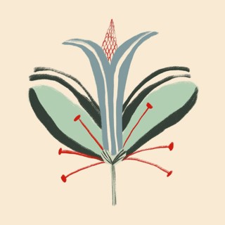 Unique artistic illustration showcasing an abstract flower with vibrant greens and reds, set