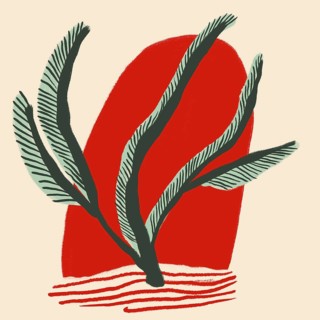 Artistic illustration featuring stylized green plants against a contrasting red background,